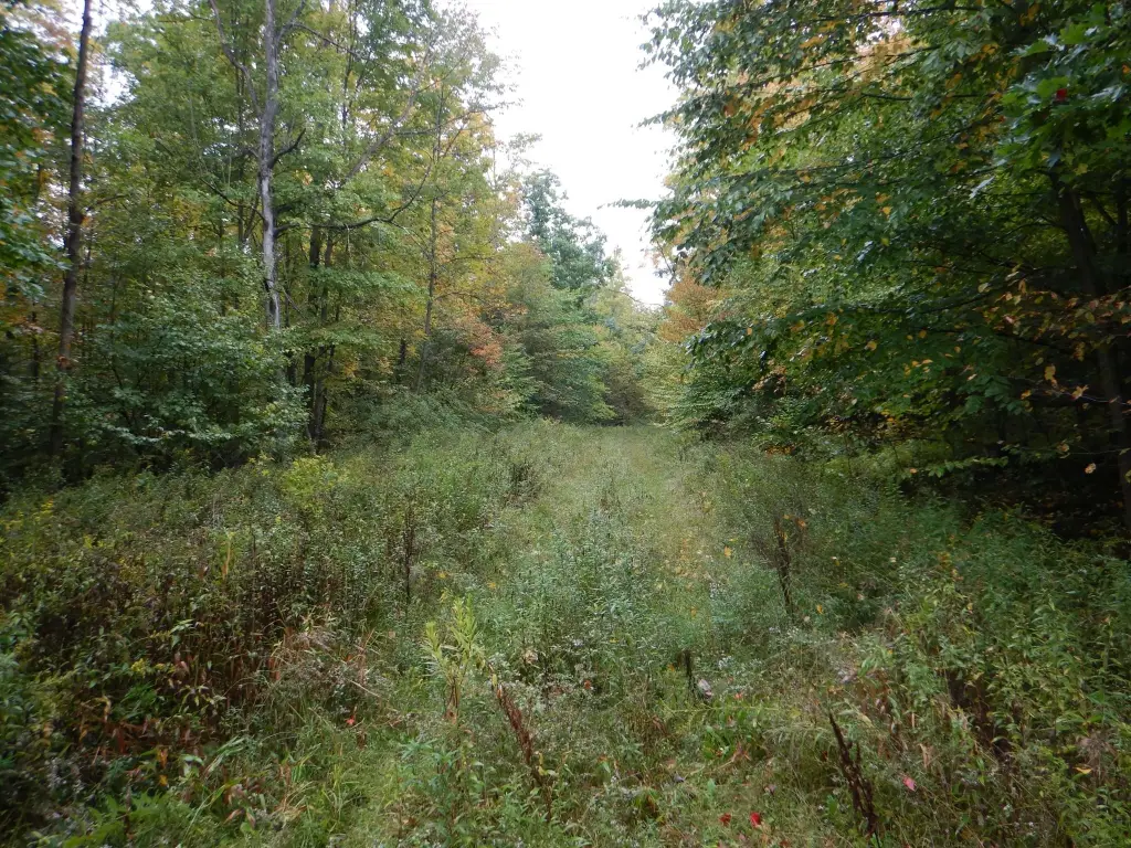 Picture 15