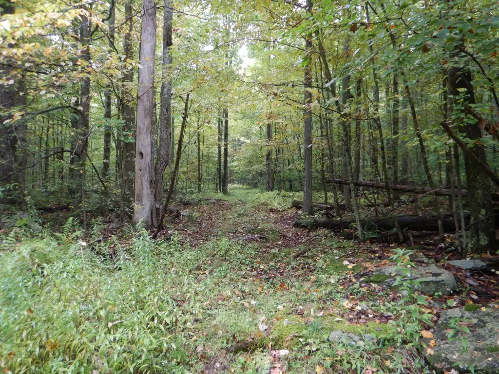 Picture 32