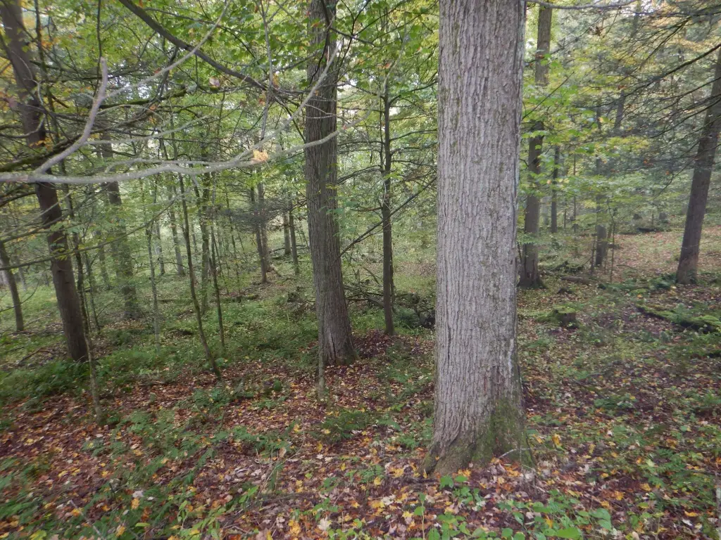 Picture 27