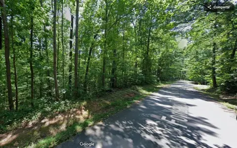 Residential Wooded Homesite in Westminster, SC