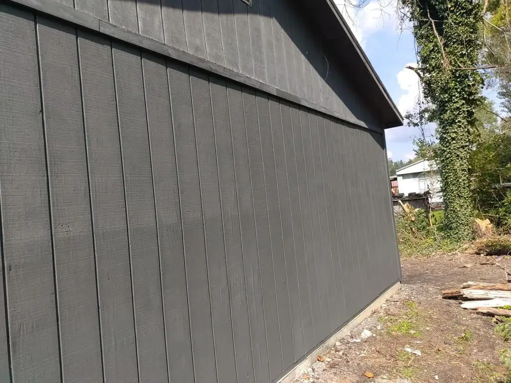 Picture 5