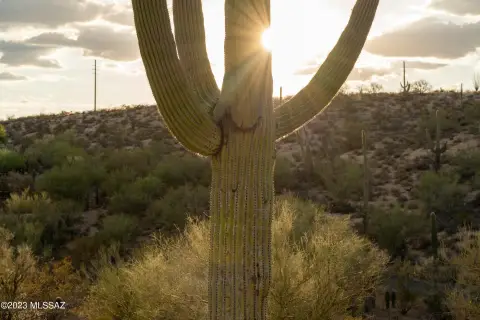 Tucson Mountain Reserve Land