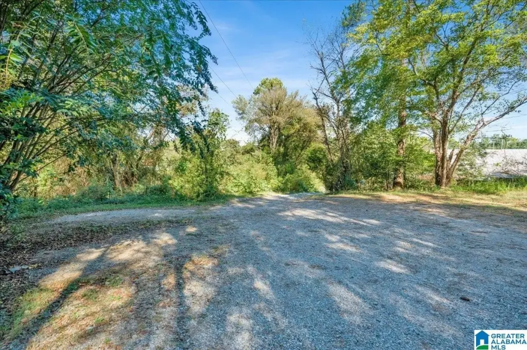 Picture 20