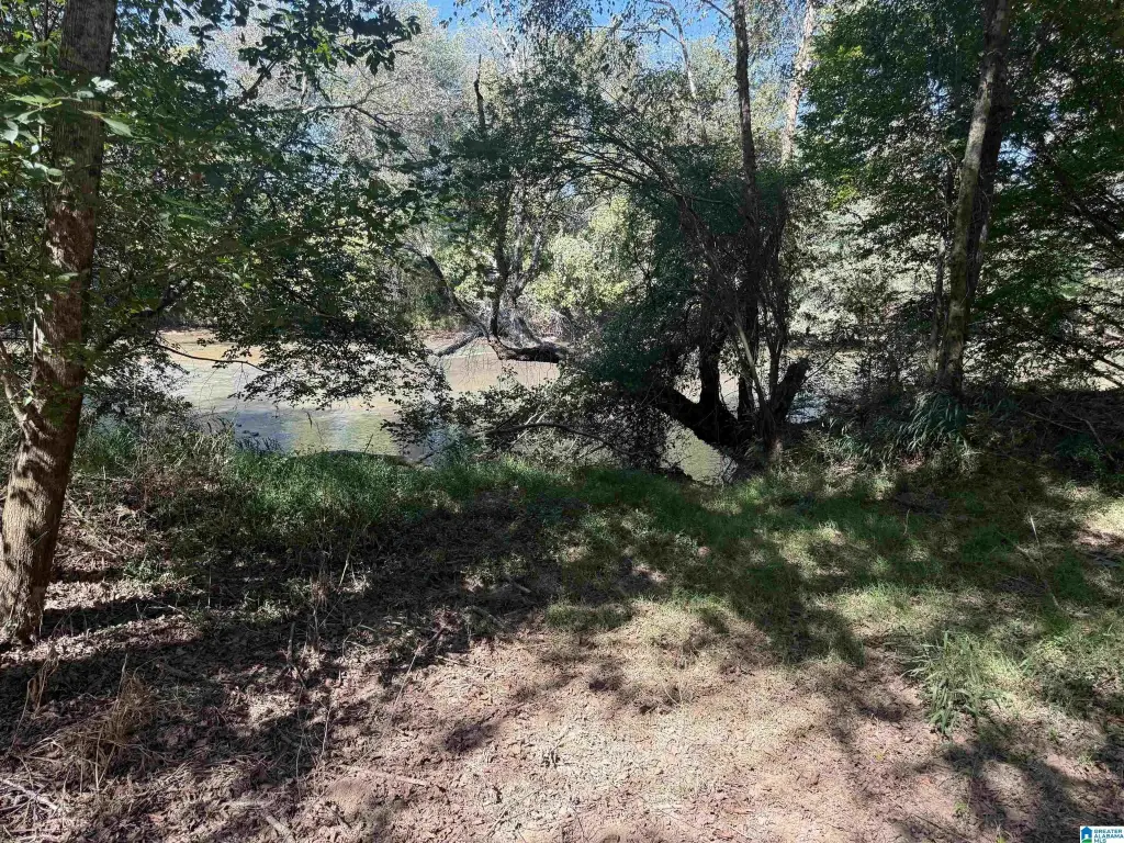 Picture 22