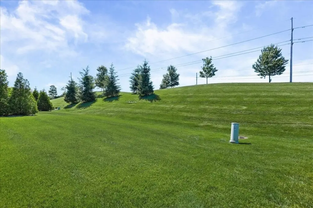 Picture 30
