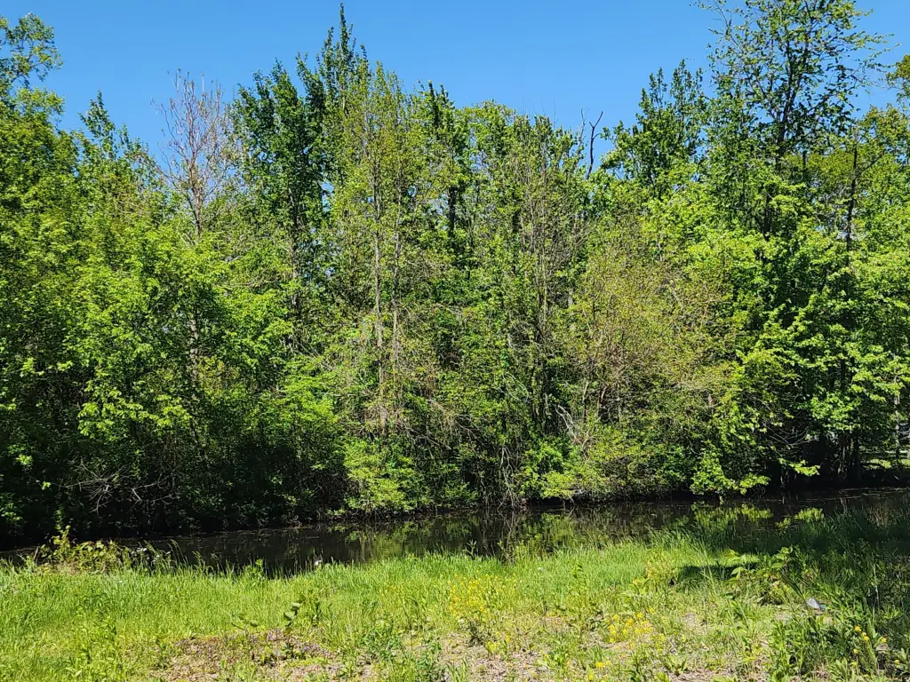 Picture 2