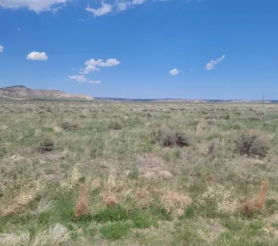 37.42 Acres Vacant Land