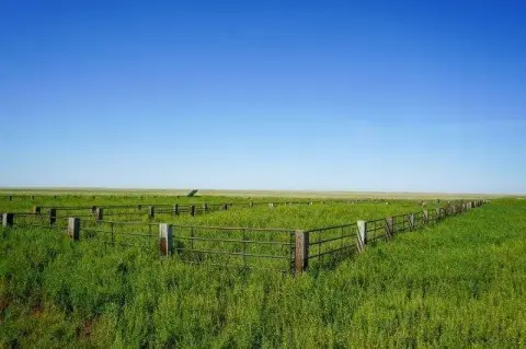 Expansive Grassland Parcel Near Brandon