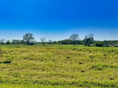 Residential Land in Iola, Texas