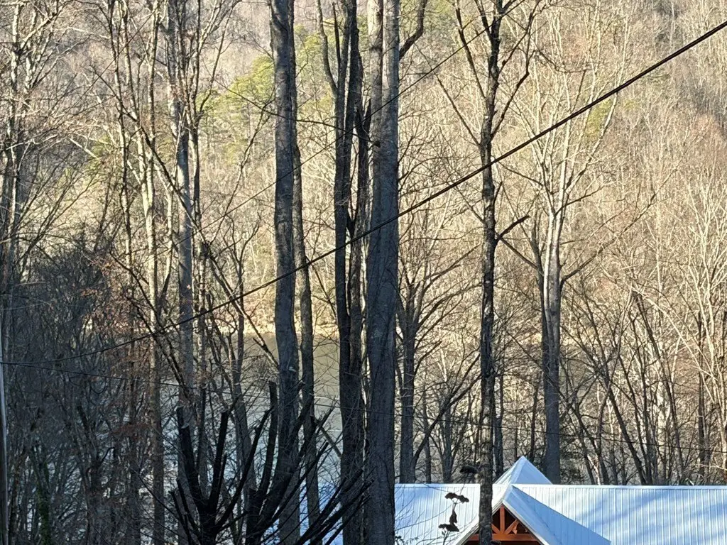 Picture 4