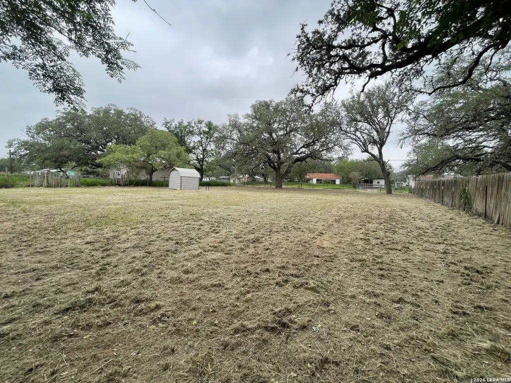 Picture 7