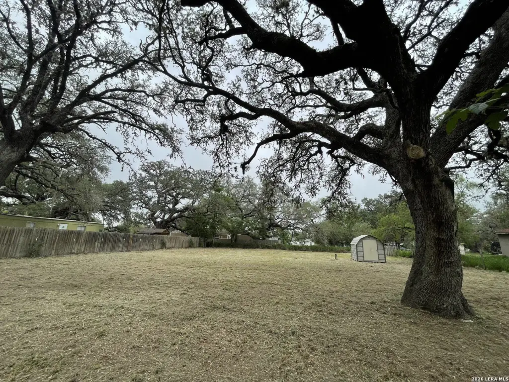 Picture 10