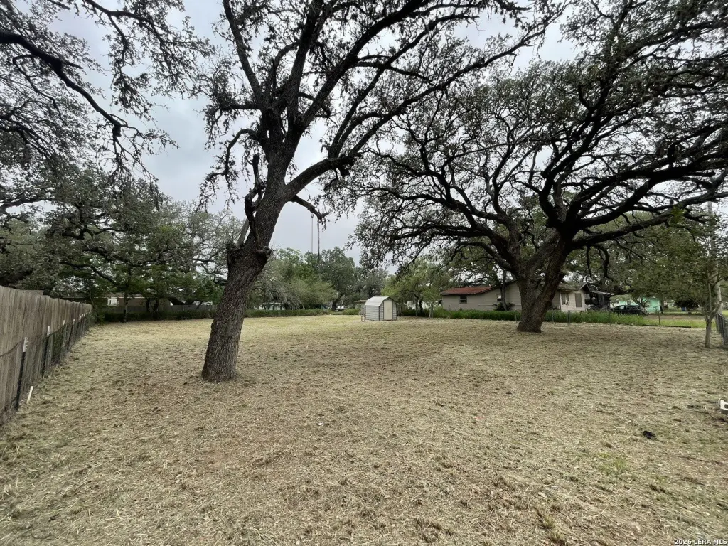 Picture 9