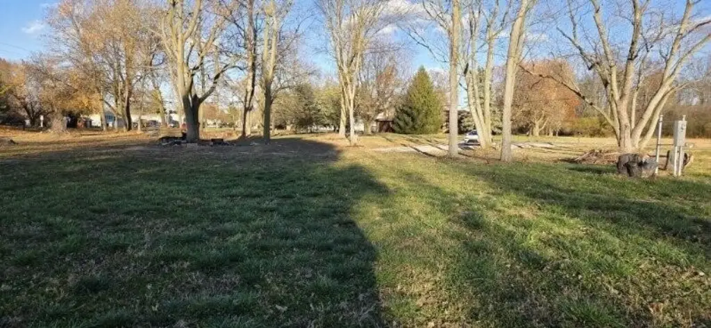 Picture 11
