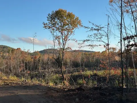 Residential Land with Mountain Views