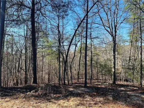 Heavily Wooded Lot in Dahlonega