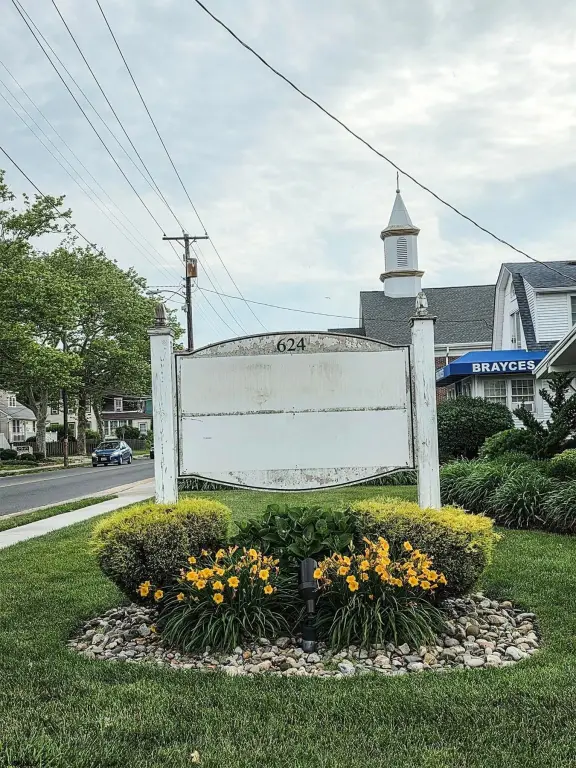 Picture 4