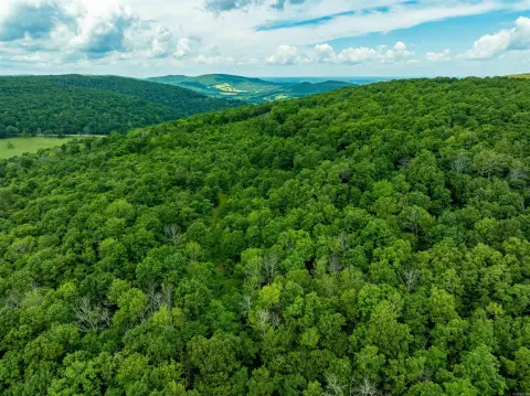 Private-Access Hunting Land