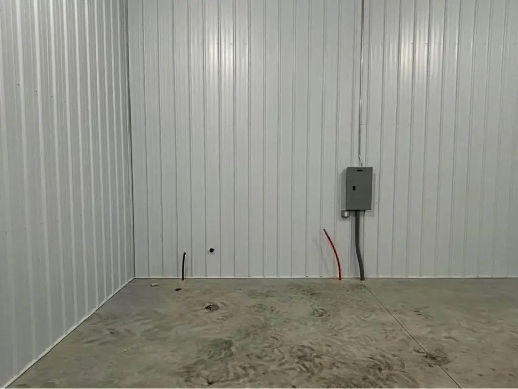 Picture 5