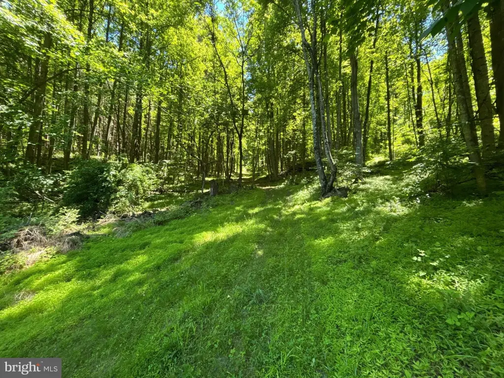 Picture 20