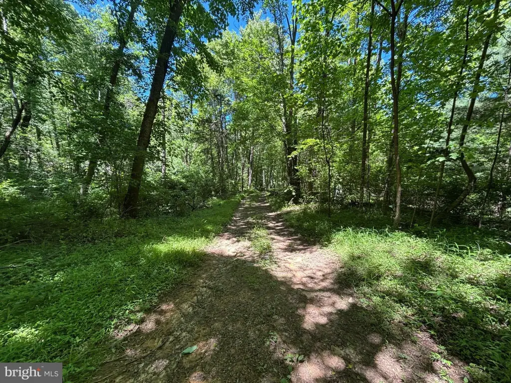 Picture 18