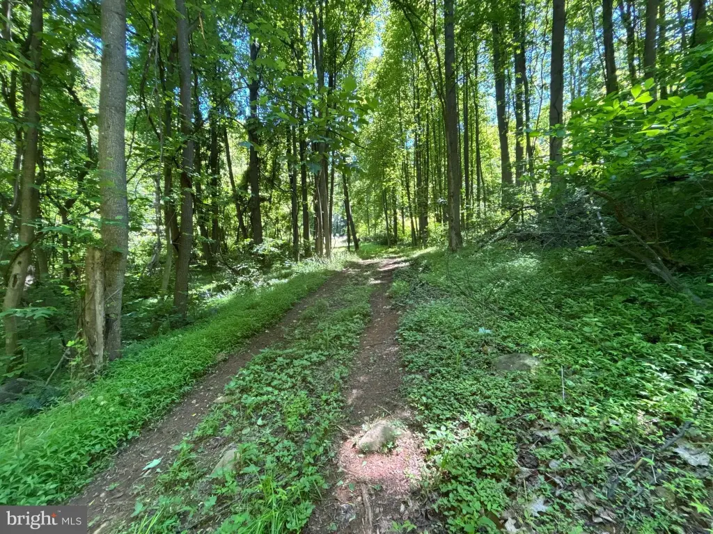 Picture 8