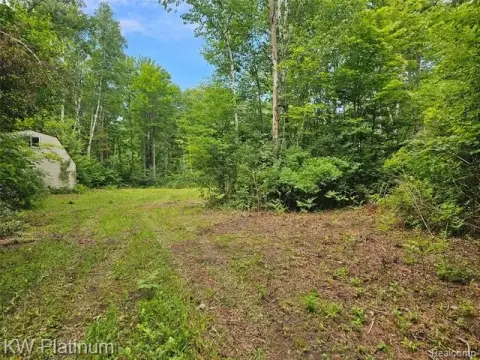 Heavily Wooded Land Parcel
