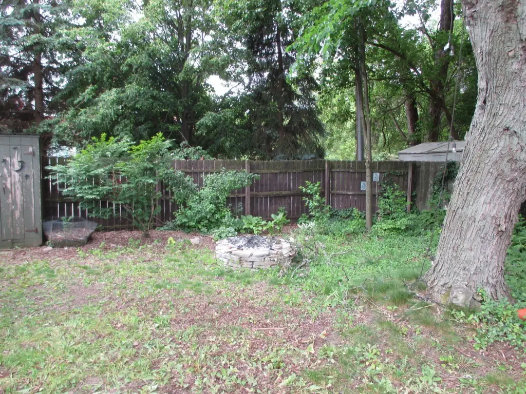 Picture 10