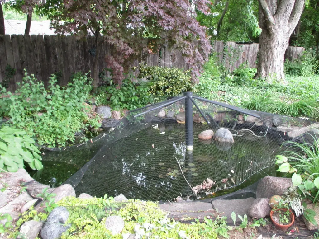 Picture 11