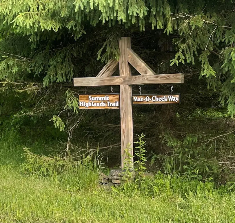 Picture 23