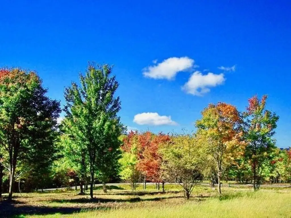 Picture 9