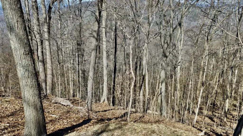 Picture 3