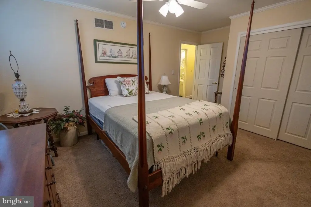 Picture 24