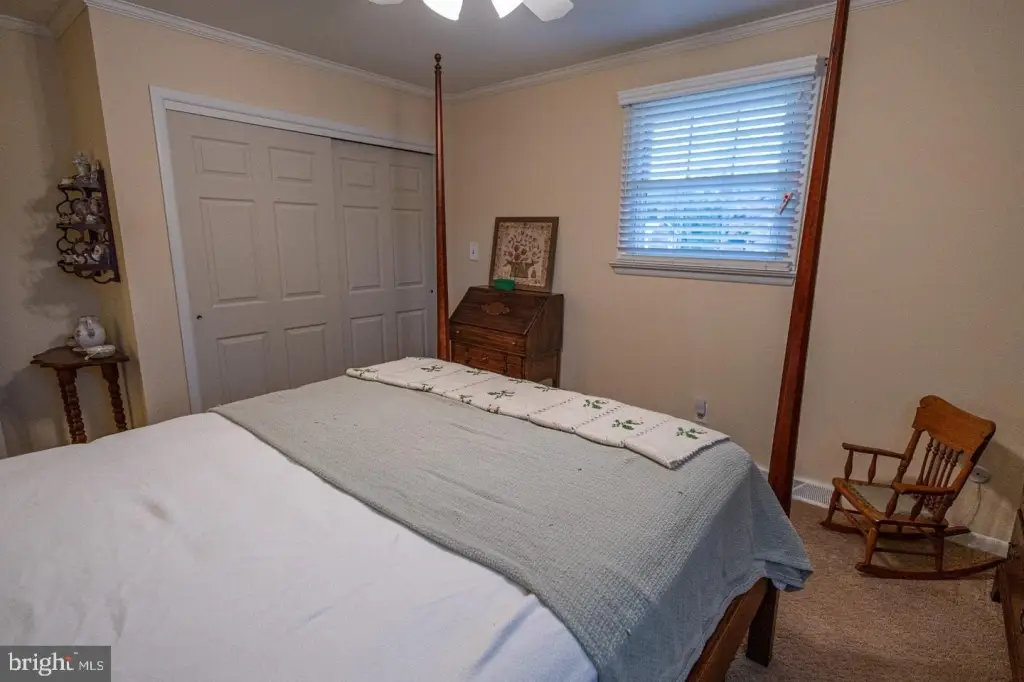 Picture 23