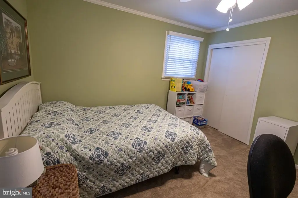 Picture 19