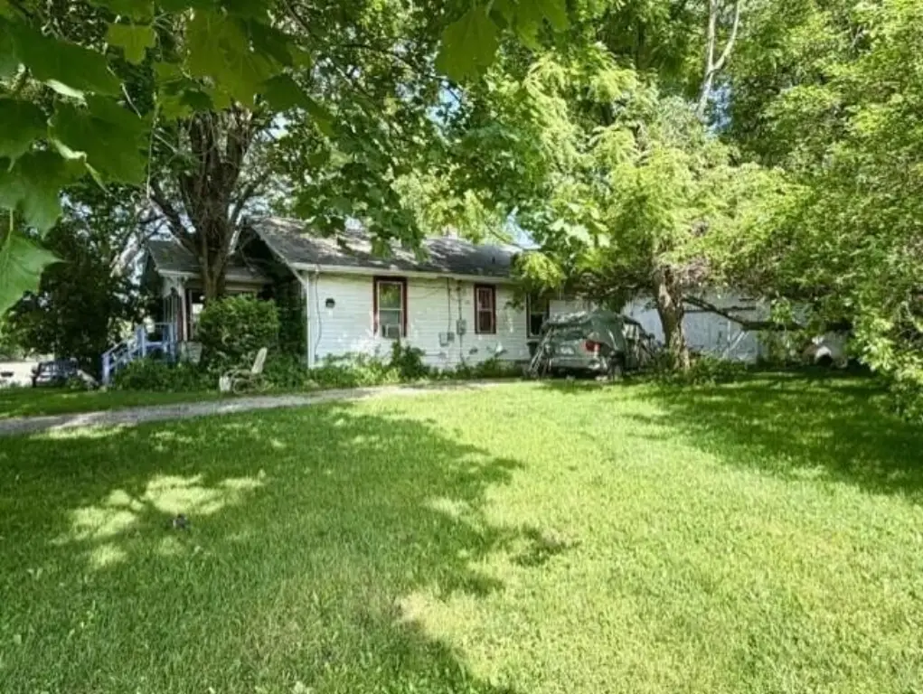 Picture 3