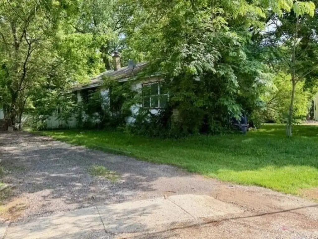 Picture 12