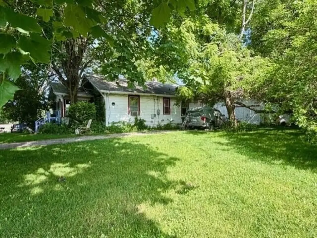 Picture 19