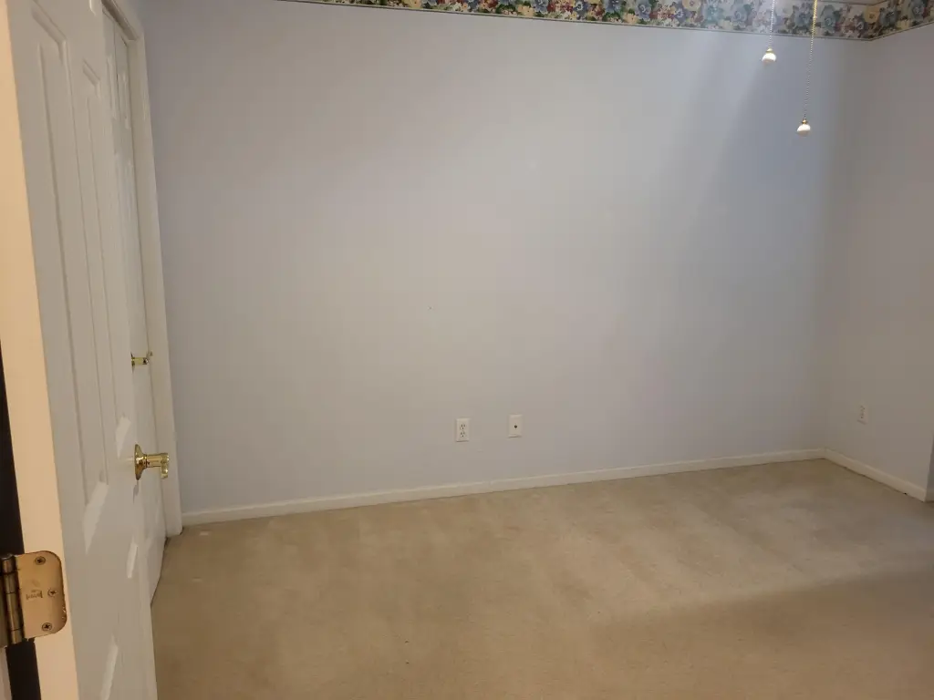 Picture 20