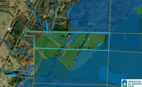 40-Acre Agricultural Land