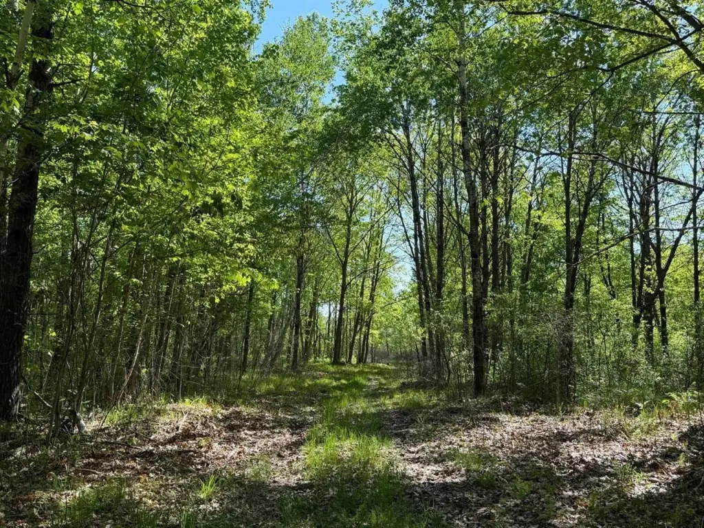 Picture 32