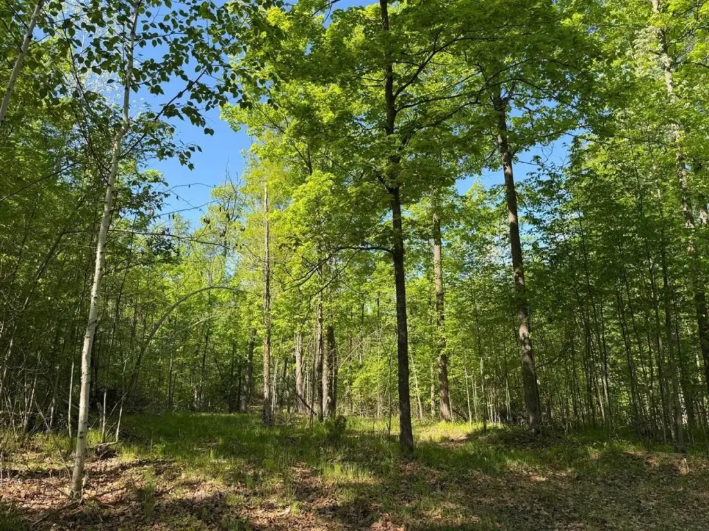 Picture 30