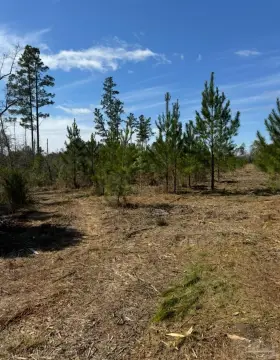 Marianna, FL Residential Land Parcel