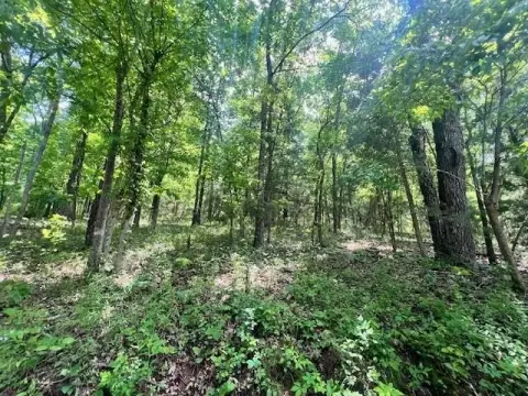 Secluded Wooded Land Near Rivers