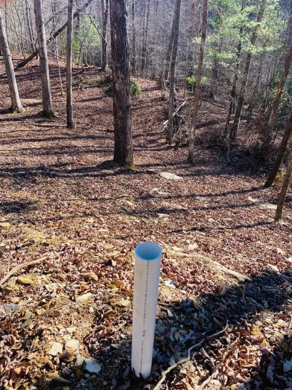 Picture 10