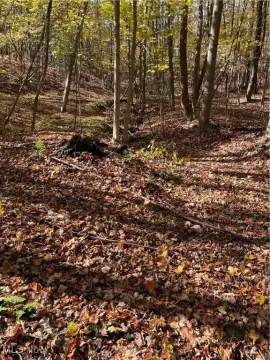 Chardon, OH Wooded Land