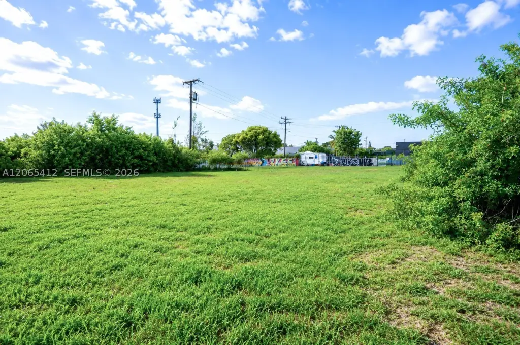 Picture 8