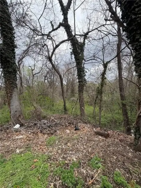 Residential Land in Independence, MO