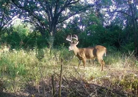 Independence Land for Country Living