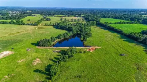 200 Acres Prime Pasture Land